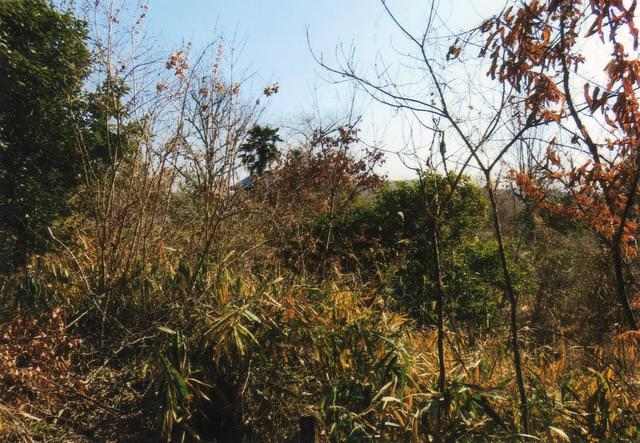 愛知県春日井市高座町 春日井市の売地｜愛知の不動産探すなら あいぽっぽ