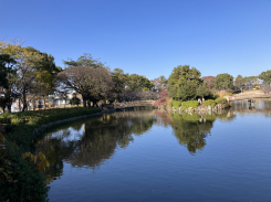 三栄住宅 