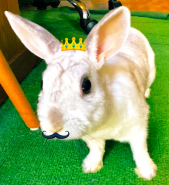 ヤタ マサユキ